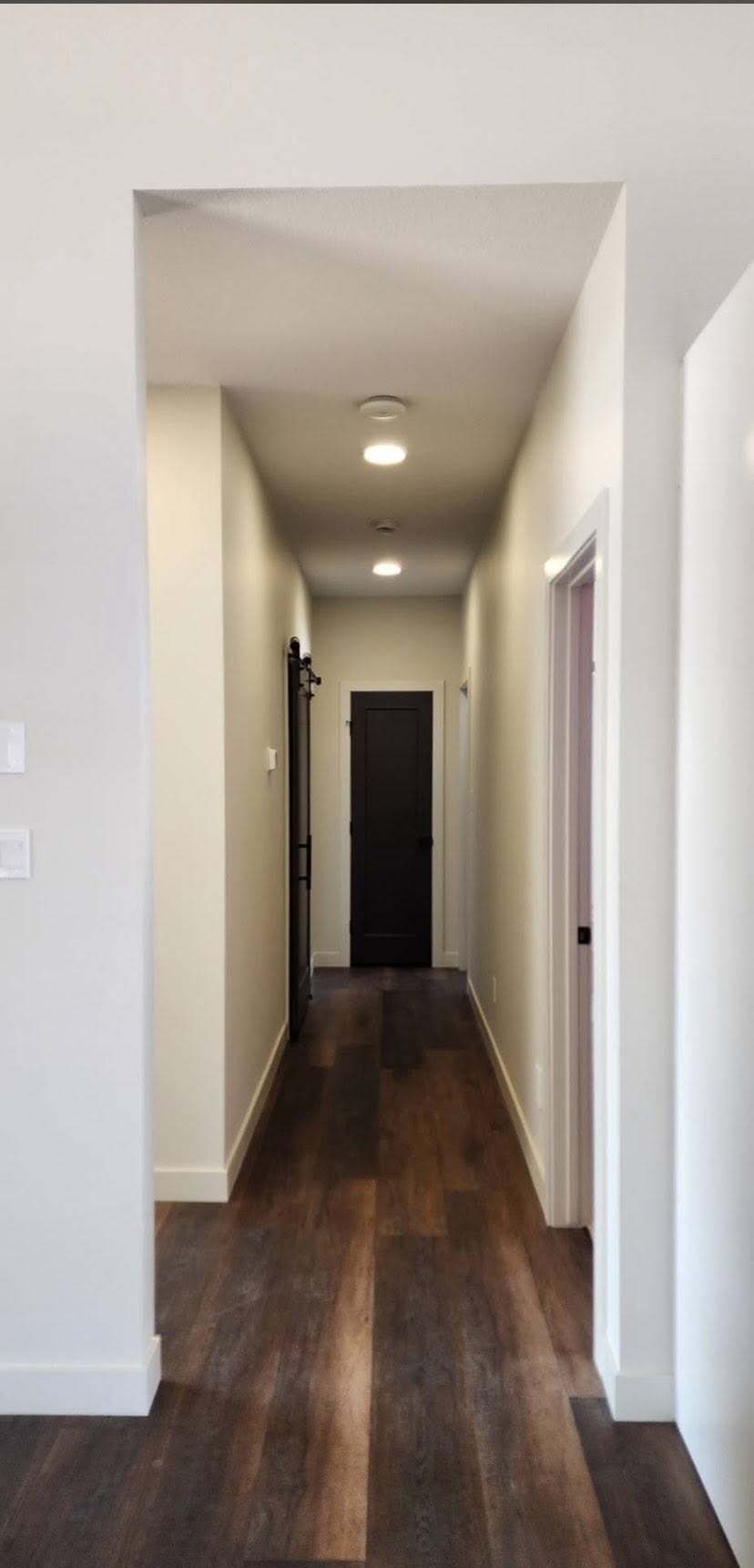 Hallway with dark doors and freshly painted walls in the new build